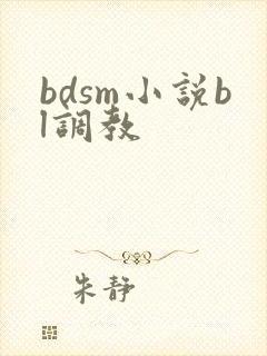 bdsm小说bl调教