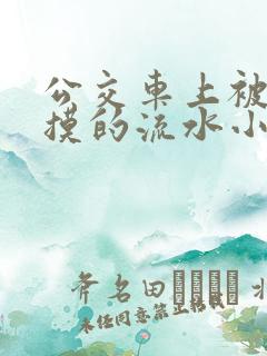 公交车上被公公摸的流水小说