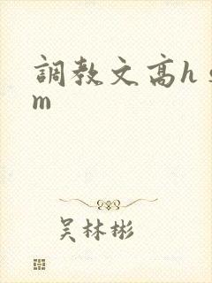 调教文高h sm