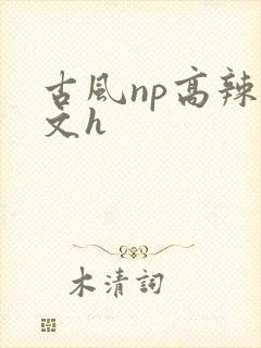 古风np高辣爽文h