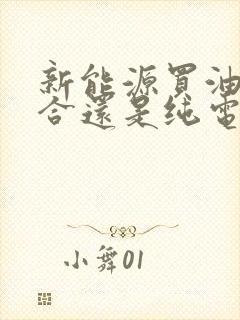 新能源买油电混合还是纯电的
