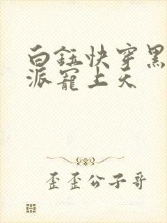 白钰快穿黑化反派宠上天