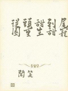 从头甜到尾的校园重生甜宠文