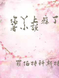 你丫上瘾了有原著小说