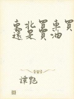 东北买车买混动还是买油