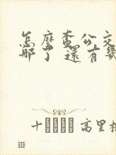 怎么查公交车到哪了 还有几站到