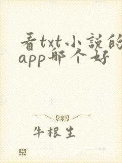 看txt小说的app哪个好