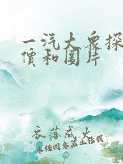 一汽大众探岳报价和图片