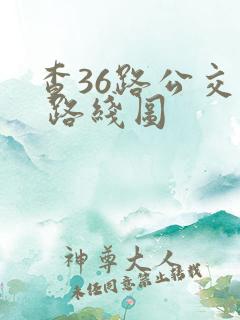 查36路公交车 路线图