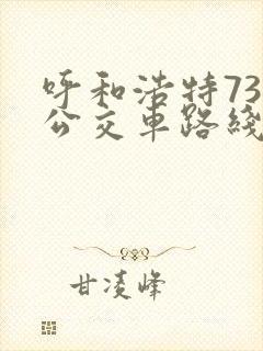 呼和浩特73路公交车路线图 呼和浩特73路公交车路线图