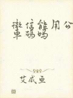 微信能用公交乘车码吗