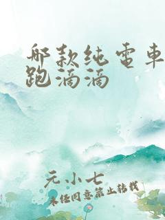 哪款纯电车适合跑滴滴