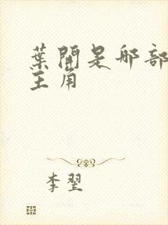叶开是哪部小说主角 叶开是哪部小说主角