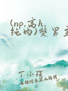 (np,高h,纯肉)双男主