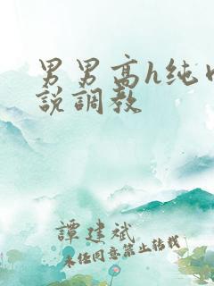 男男高h纯肉小说调教