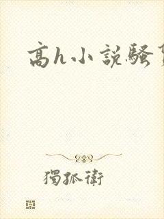 高h小说骚货