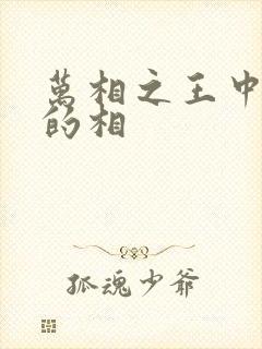 万相之王中李洛的相
