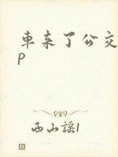 车来了公交app