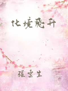 化境飞升
