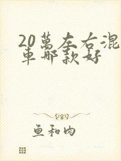 20万左右混动车哪款好