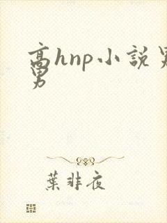 高hnp小说男男