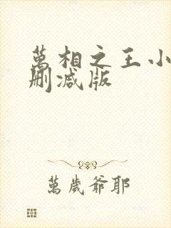 万相之王小说无删减版