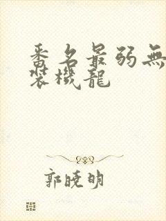 番名最弱无败神装机龙