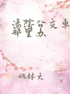 汤阴公交车卡在哪里办