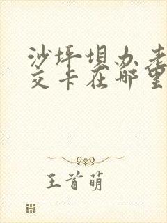沙坪坝办老年公交卡在哪里