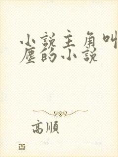 小说主角叫李沐尘的小说