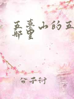 五台山的五台在哪里