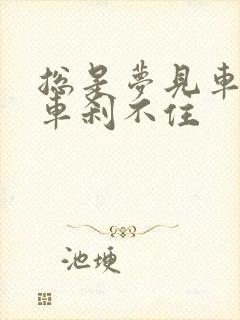 总是梦见车子刹车刹不住