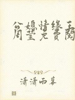 公媳情缘王伟忠周莹免费阅读全文
