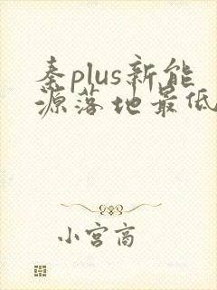 秦plus新能源落地最低多少钱