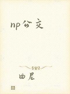 np公交
