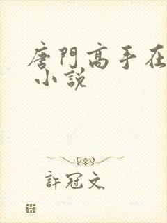 唐门高手在异世 小说