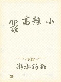 np 高辣 小说