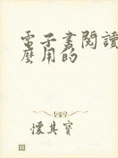 电子书阅读器怎么用的