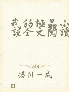 我的极品小姨小说全文阅读免费