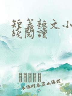 短篇辣文小说在线阅读