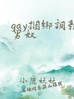 gay捆绑调教男奴
