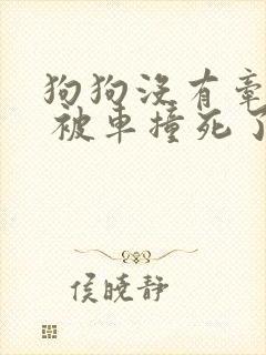 狗狗没有牵引绳 被车撞死了 赔偿