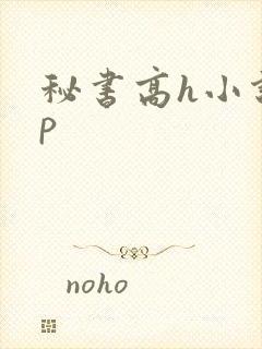 秘书高h小说np