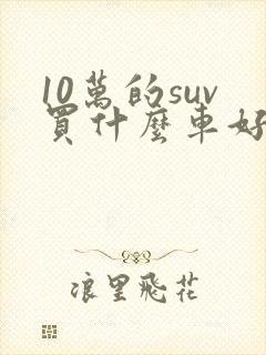 10万的suv买什么车好