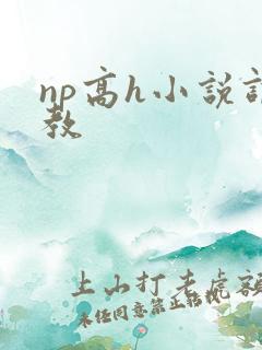 np高h小说调教 np高h小说调教