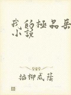 我的极品岳母 小说