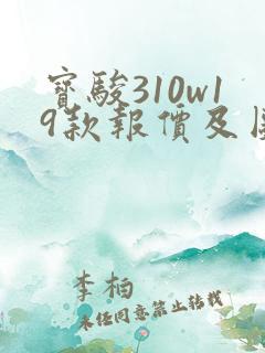 宝骏310w19款报价及图片