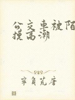 公交车被陌生人摸高潮