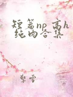 短篇np 高h 纯肉合集