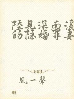 陆见深南溪陆少的隐婚罪妻